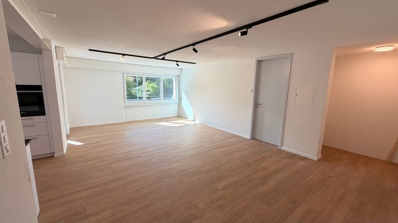 Magnifique appartement de 4,5 pièces au rez-de-chaussée (6)