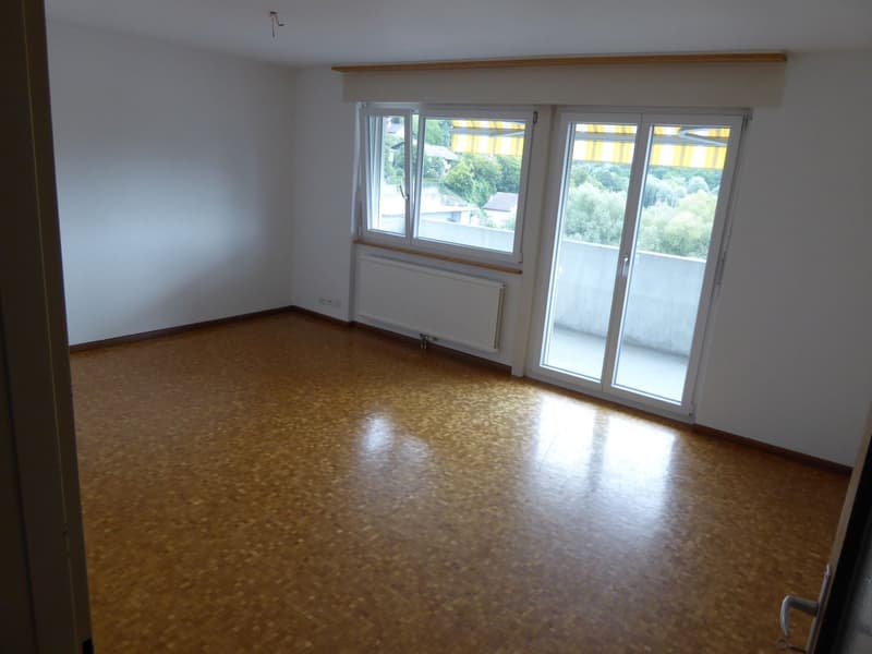 Bel et spacieux appartement de 4,5 pièces (3)