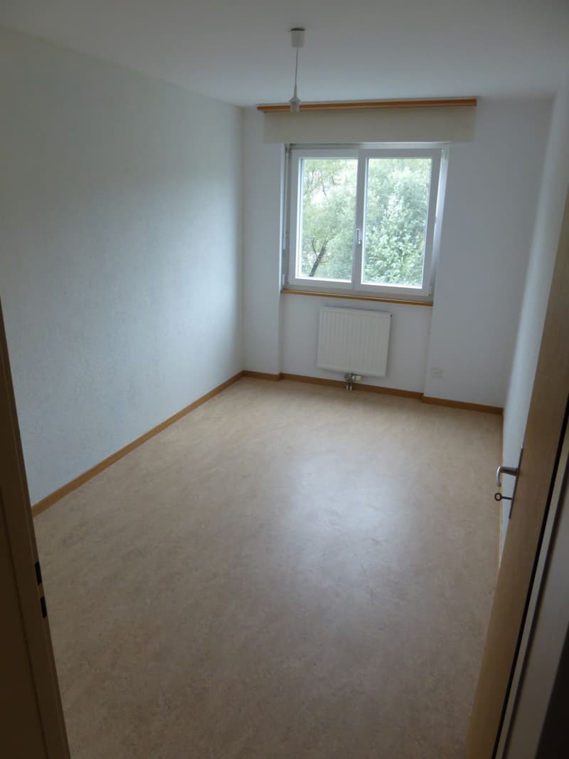 Bel et spacieux appartement de 4,5 pièces (5)