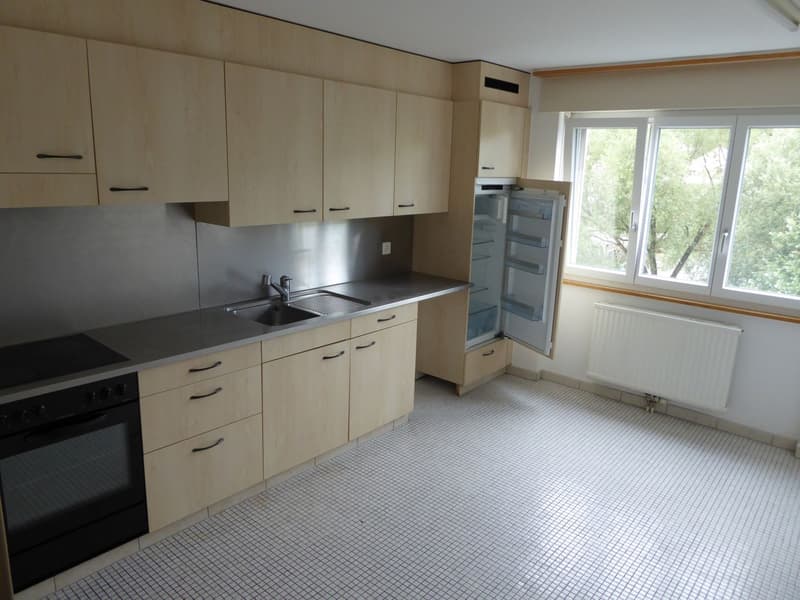 Bel et spacieux appartement de 4,5 pièces (2)