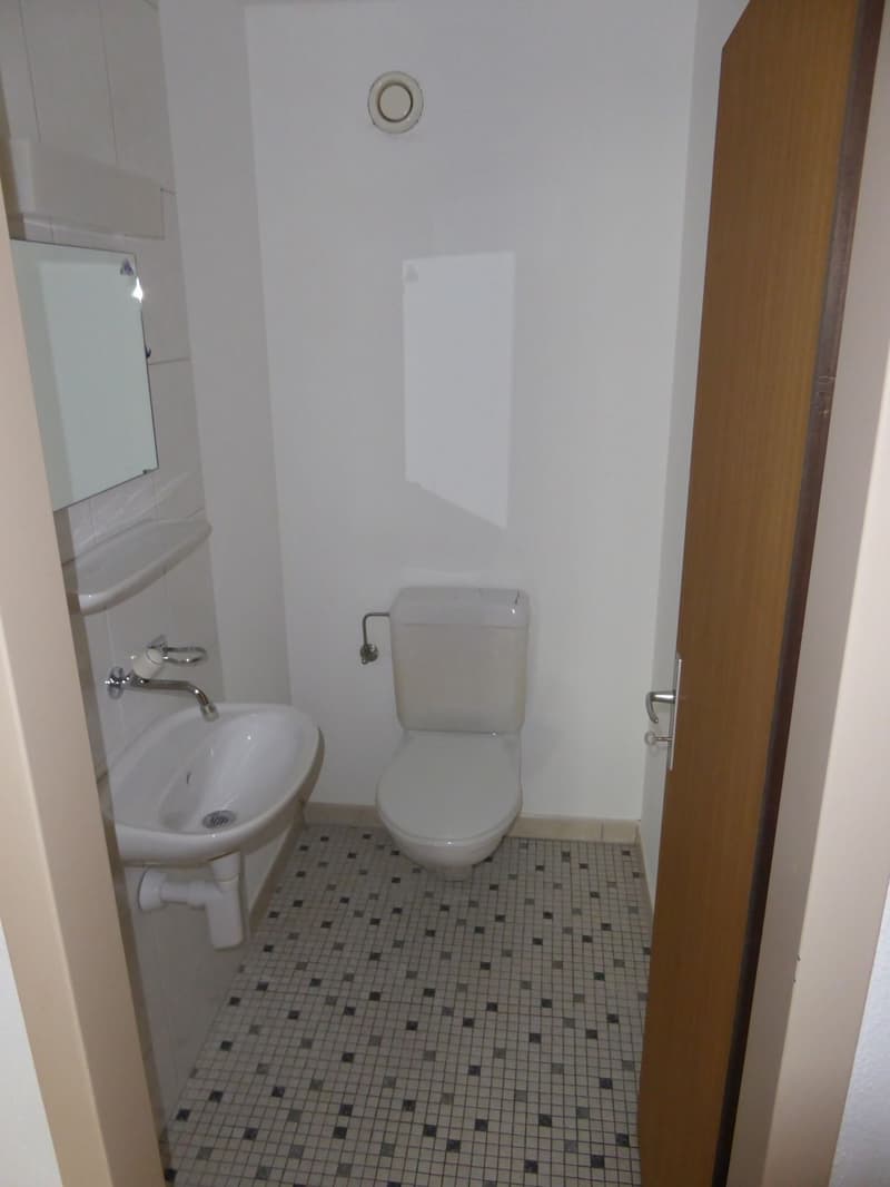 Bel et spacieux appartement de 4,5 pièces (7)