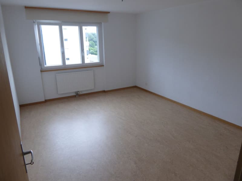 Bel et spacieux appartement de 4,5 pièces (4)