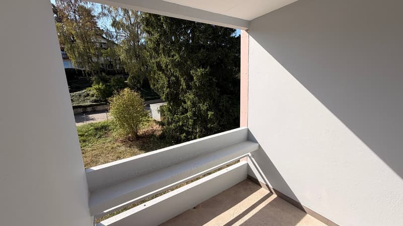 Magnifique appartement de 3,5 pièces au 2e étage (13)