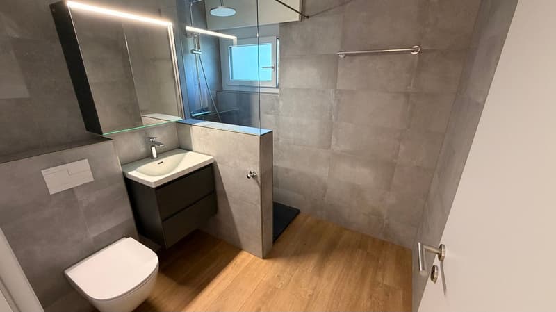 Magnifique appartement de 3,5 pièces au 2e étage (8)