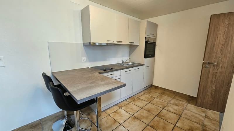 Appartement de 1,5 pièces au rez supérieur (1)