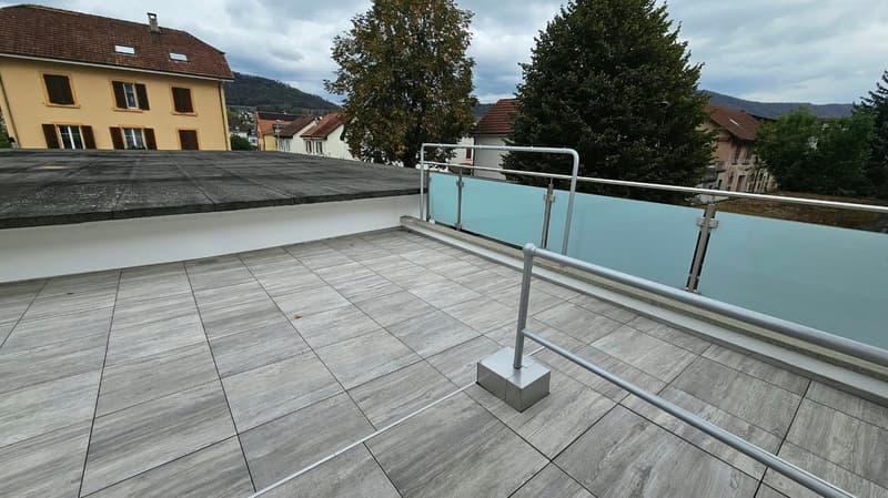Très grand appartement de 3,5 pièces avec terrasse de 48m2 (1)