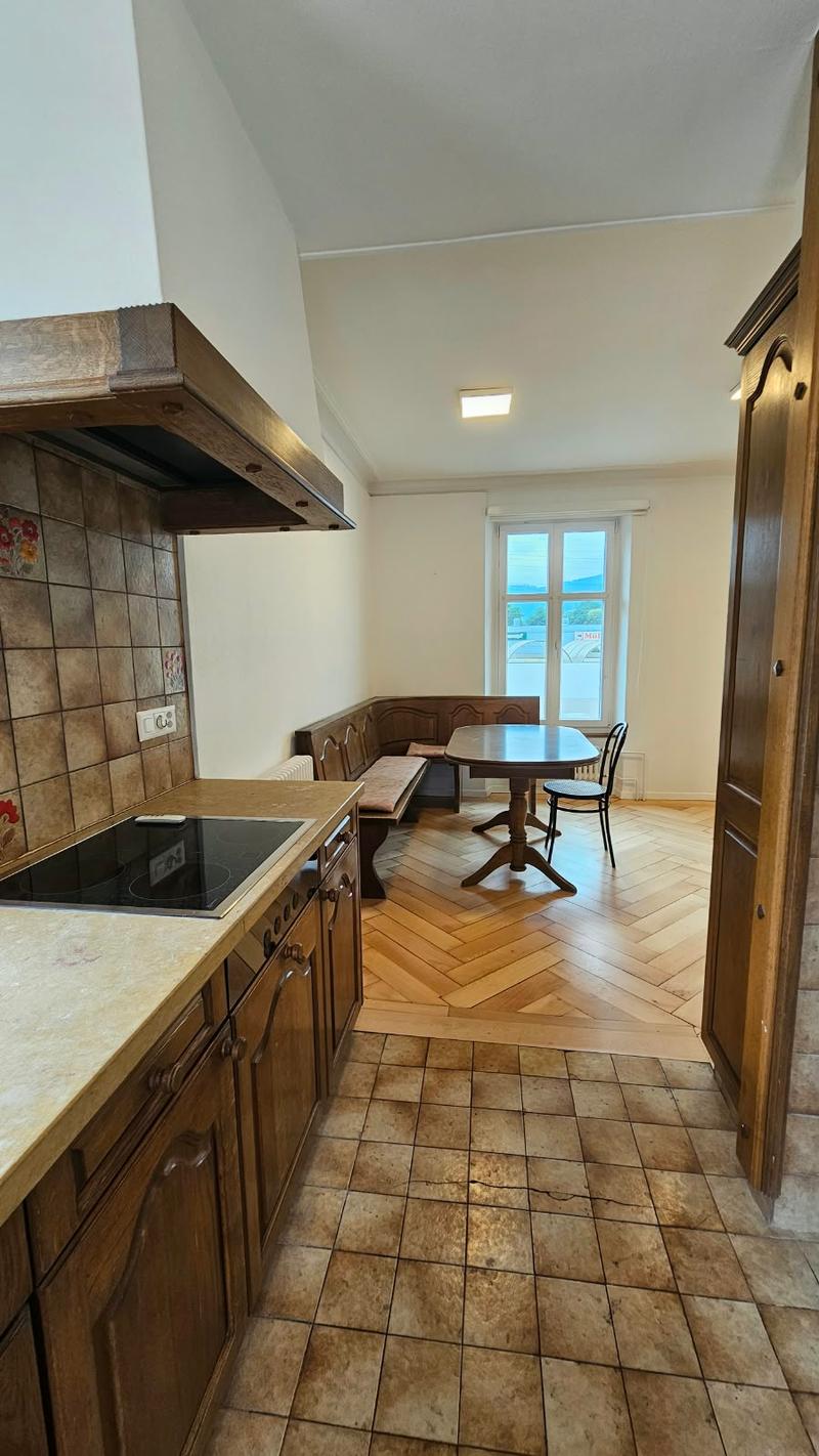 Très grand appartement de 3,5 pièces avec terrasse de 48m2 (4)