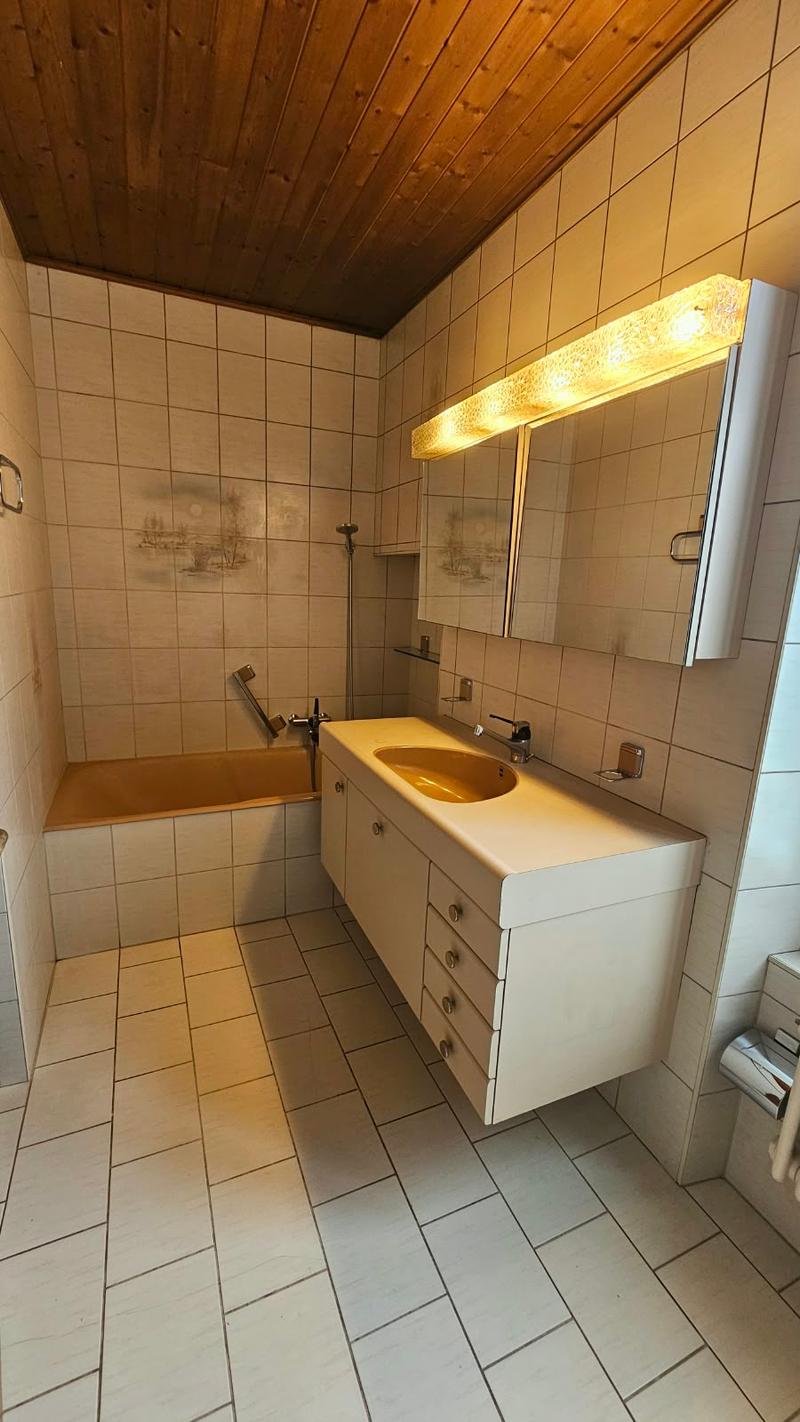 Très grand appartement de 3,5 pièces avec terrasse de 48m2 (14)