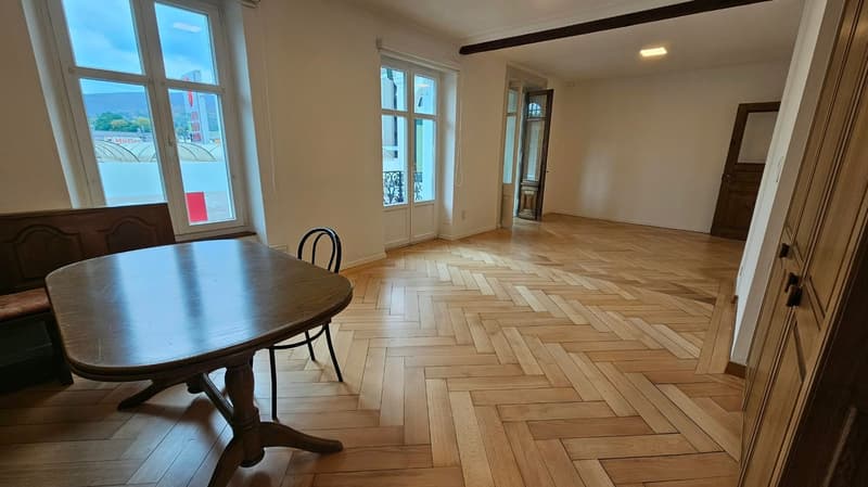 Très grand appartement de 3,5 pièces avec terrasse de 48m2 (6)