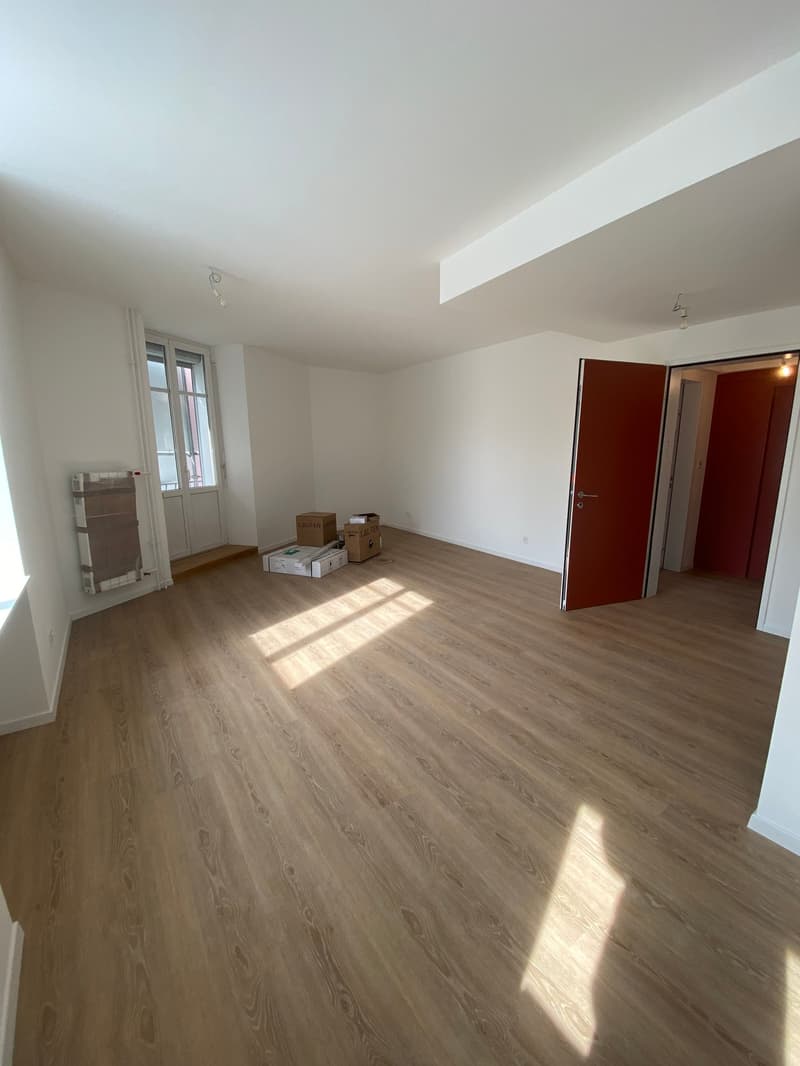 Très joli studio rénové au cœur de Delémont (3)