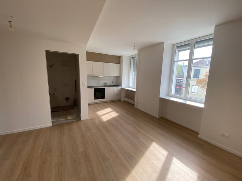 Très joli studio rénové au cœur de Delémont (1)