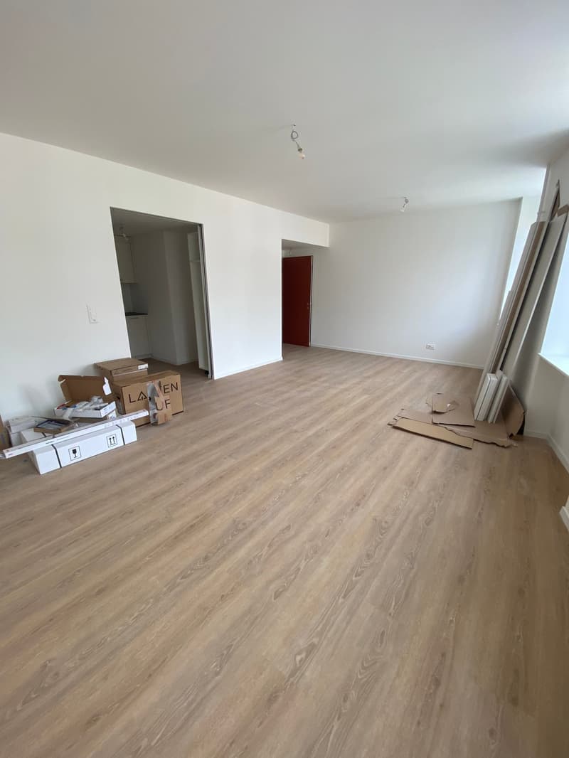 Très joli studio rénové au cœur de Delémont (2)