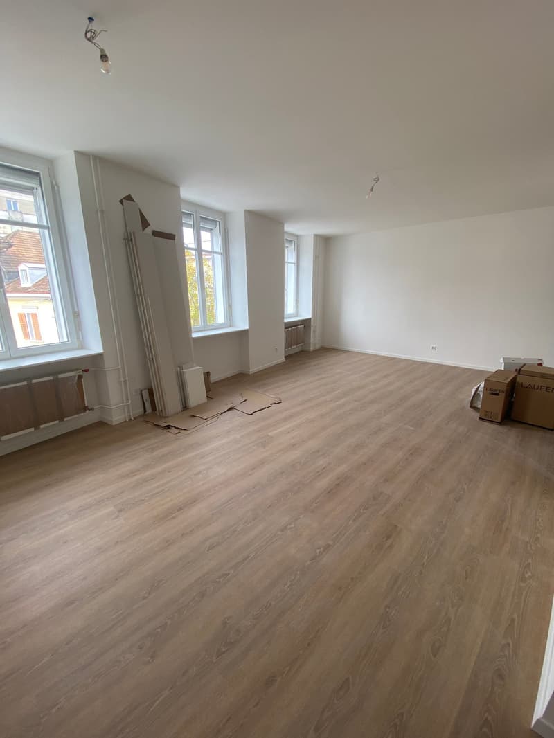 Très joli studio rénové au cœur de Delémont (3)