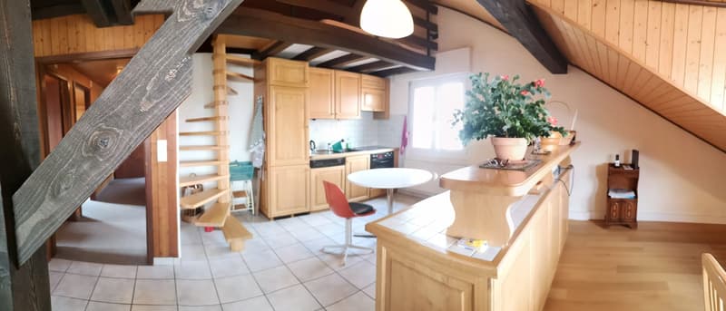 A vendre grande surface polyvalente avec entrepôt, 3 places de parc, 2 appartements (21)