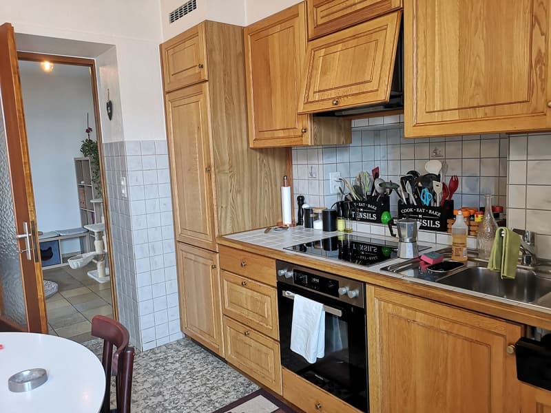 A vendre grande surface polyvalente avec entrepôt, 3 places de parc, 2 appartements (15)