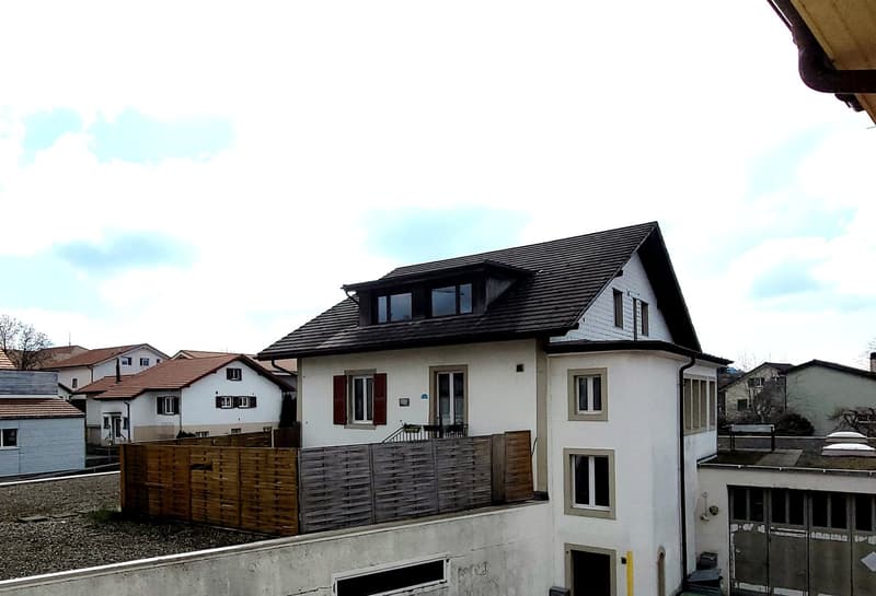 A vendre grande surface polyvalente avec entrepôt, 3 places de parc, 2 appartements (2)