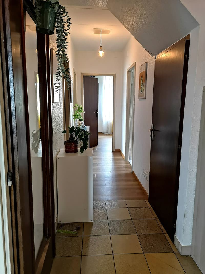 A vendre grande surface polyvalente avec entrepôt, 3 places de parc, 2 appartements (10)
