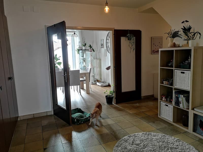 Open door leading to a dining area with a table and chairs, a cat in the foreground, a shelf with books and plants, a radiator, and a balcony visible through the door.