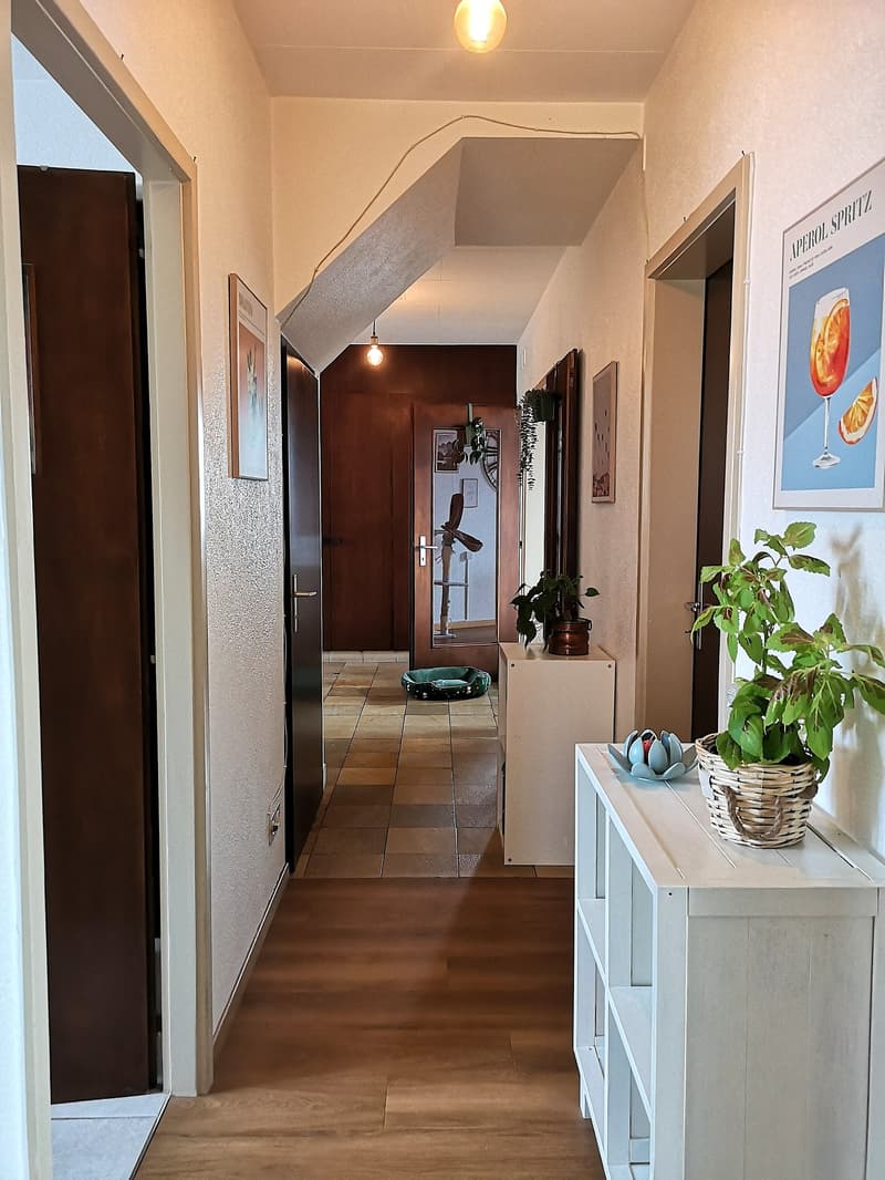 wooden floor, white walls, ceiling lights, wooden doors, small potted plants, white shelf, framed pictures on the wall