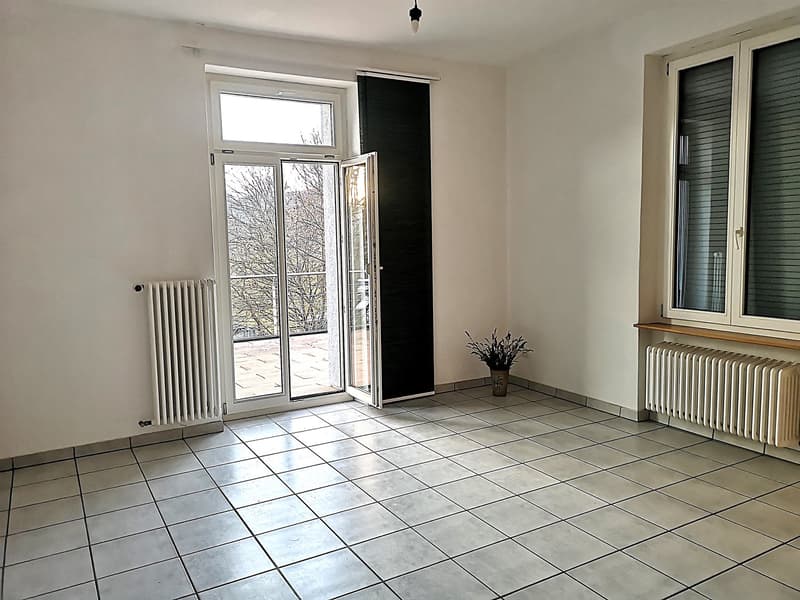 Magnifique maison individuelle ou plurifamiliale avec garage, places de parc, terrasses, jardin (33)