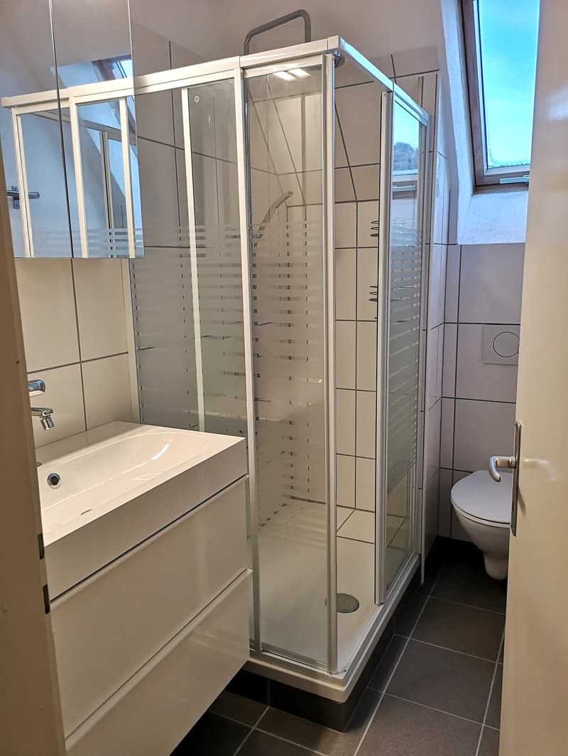 Magnifique maison individuelle ou plurifamiliale avec garage, places de parc, terrasses, jardin (39)