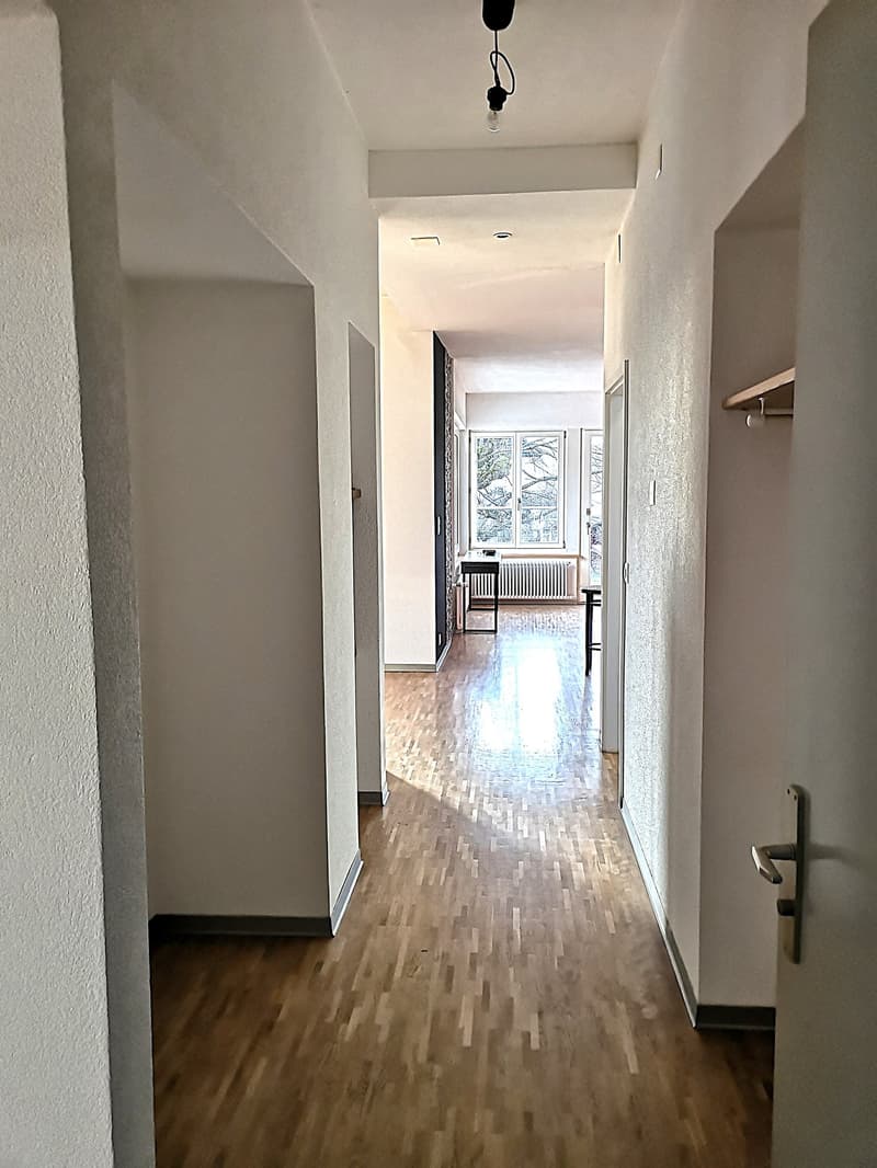 Magnifique maison individuelle ou plurifamiliale avec garage, places de parc, terrasses, jardin (16)