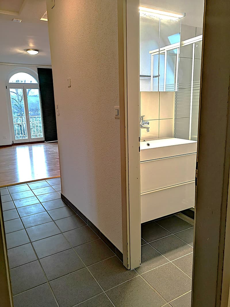 Magnifique maison individuelle ou plurifamiliale avec garage, places de parc, terrasses, jardin (38)