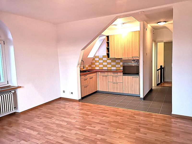 Magnifique maison individuelle ou plurifamiliale avec garage, places de parc, terrasses, jardin (41)
