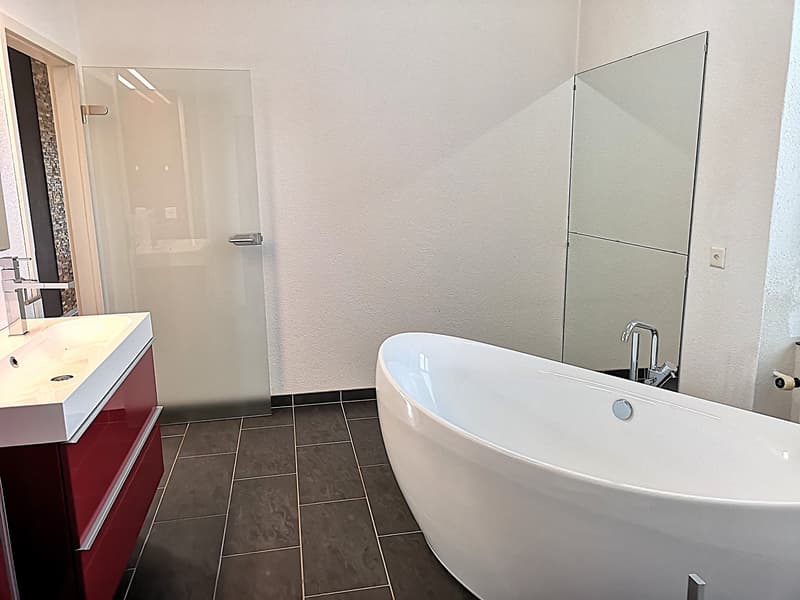 Magnifique maison individuelle ou plurifamiliale avec garage, places de parc, terrasses, jardin (24)