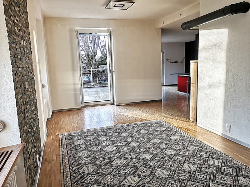 Magnifique maison individuelle ou plurifamiliale avec garage, places de parc, terrasses, jardin (20)