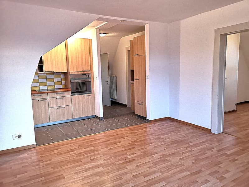 Magnifique maison individuelle ou plurifamiliale avec garage, places de parc, terrasses, jardin (42)