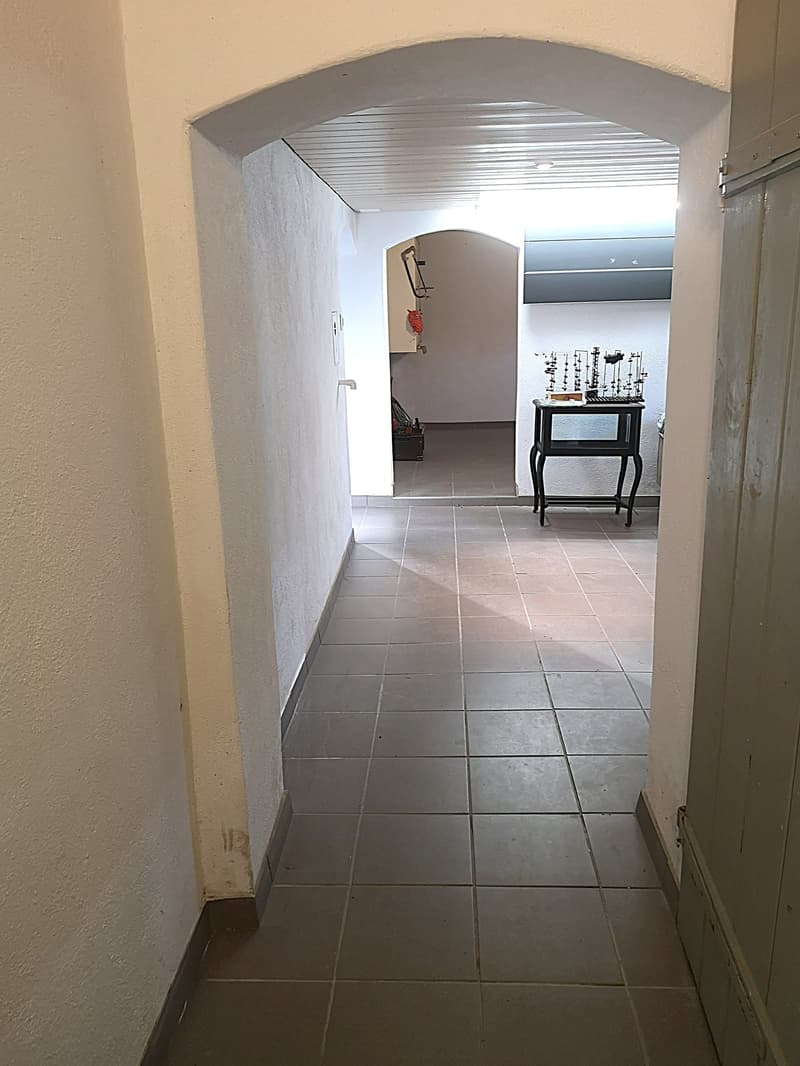 Magnifique maison individuelle ou plurifamiliale avec garage, places de parc, terrasses, jardin (8)