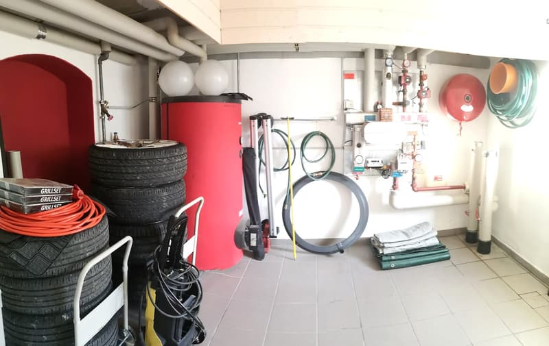 Magnifique maison individuelle ou plurifamiliale avec garage, places de parc, terrasses, jardin (10)