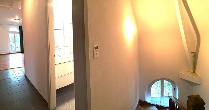 Magnifique maison individuelle ou plurifamiliale avec garage, places de parc, terrasses, jardin (37)