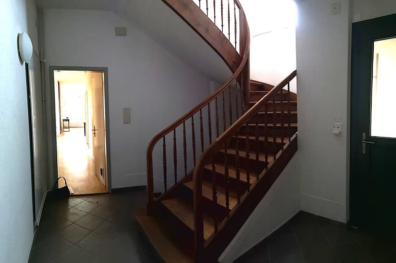 Magnifique maison individuelle ou plurifamiliale avec garage, places de parc, terrasses, jardin (15)