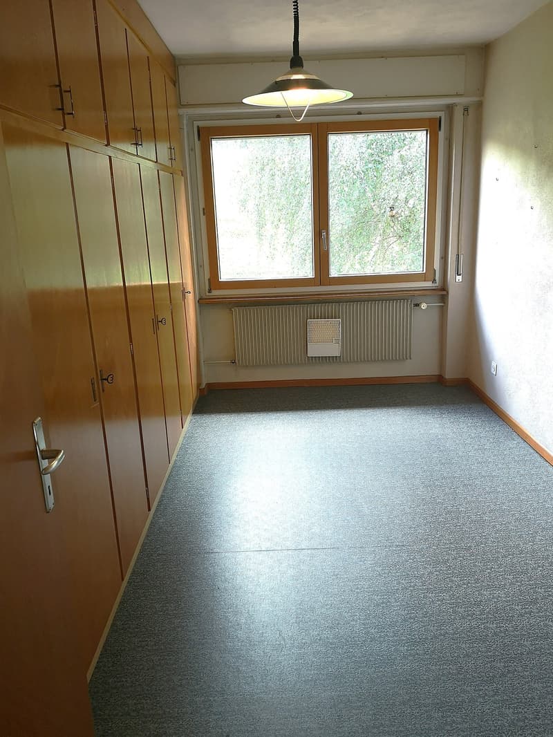 Deux maisons à rénover en partie sur parcelle de 3253m2, avec garage/atelier (19)