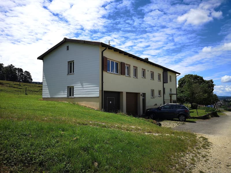 Deux maisons à rénover en partie sur parcelle de 3253m2, avec garage/atelier (3)