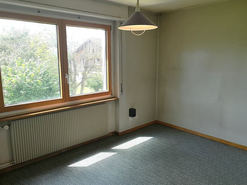 Deux maisons à rénover en partie sur parcelle de 3253m2, avec garage/atelier (11)