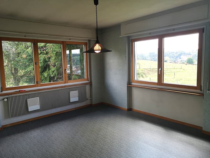 Deux maisons à rénover en partie sur parcelle de 3253m2, avec garage/atelier (18)