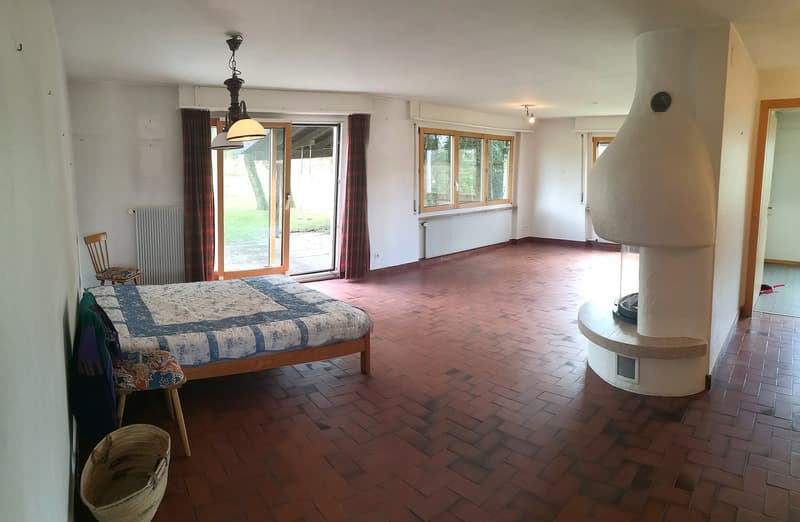 Deux maisons à rénover en partie sur parcelle de 3253m2, avec garage/atelier (8)
