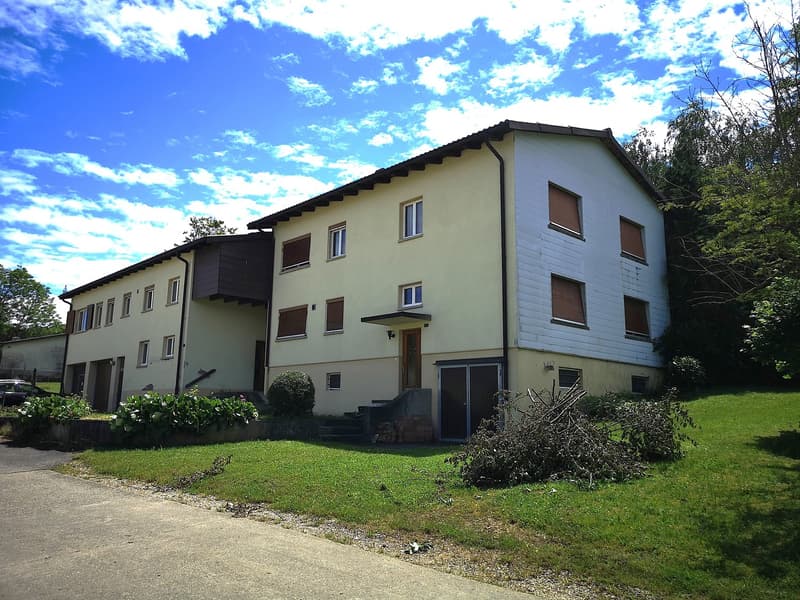 Deux maisons à rénover en partie sur parcelle de 3253m2, avec garage/atelier (2)
