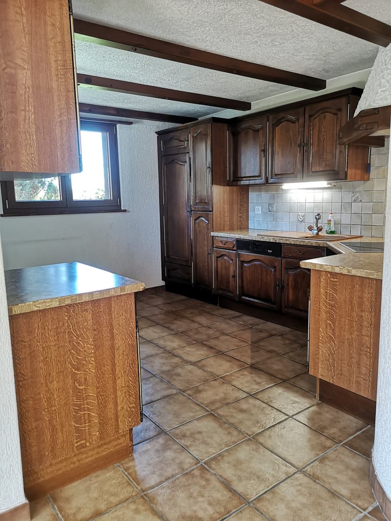 Grande maison 5.5pces, env. 120m2, terrain 802m2, avec garage, places de parc, terrasse, bûcher (24)