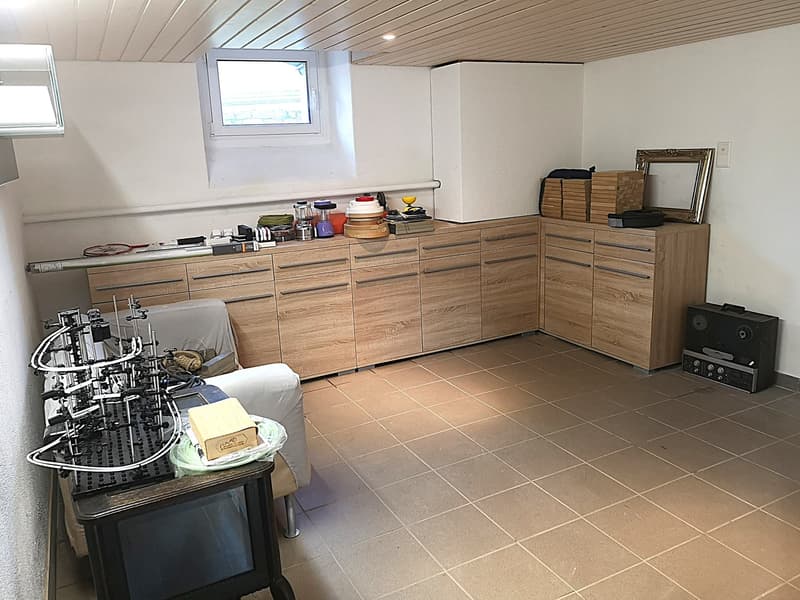 Magnifique maison individuelle ou plurifamiliale avec garage, places de parc, terrasses, jardin (12)