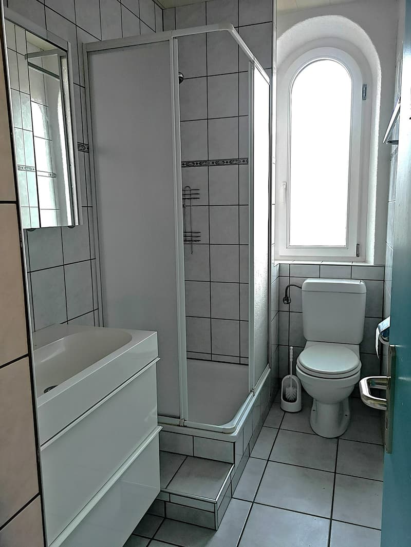 Magnifique maison individuelle ou plurifamiliale avec garage, places de parc, terrasses, jardin (36)