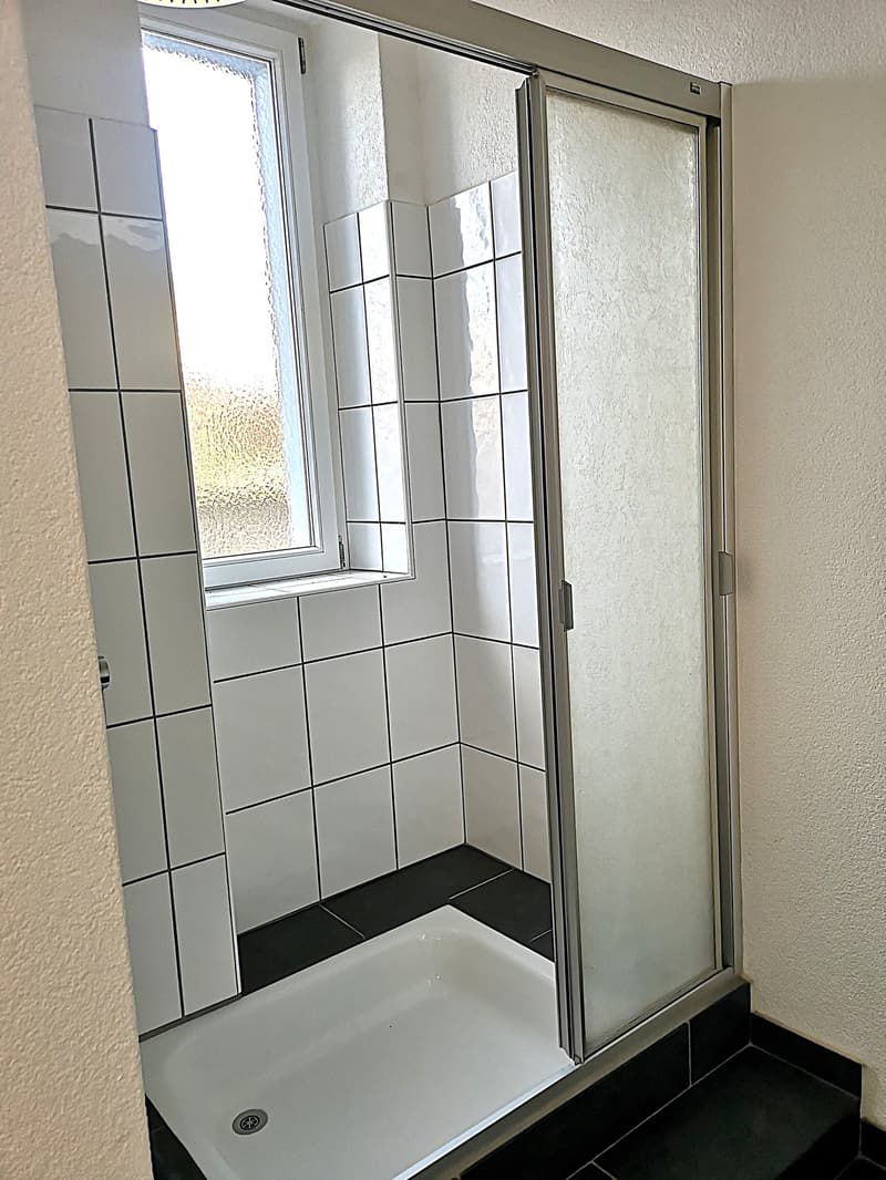 Magnifique maison individuelle ou plurifamiliale avec garage, places de parc, terrasses, jardin (27)