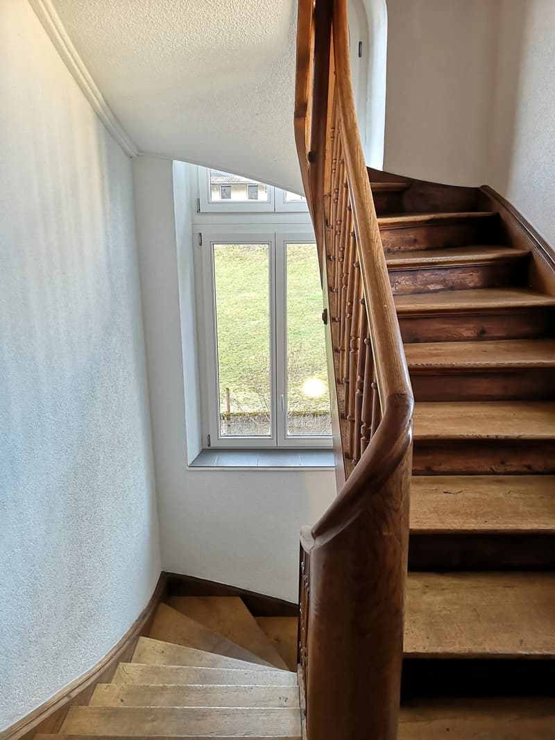 Magnifique maison individuelle ou plurifamiliale avec garage, places de parc, terrasses, jardin (28)