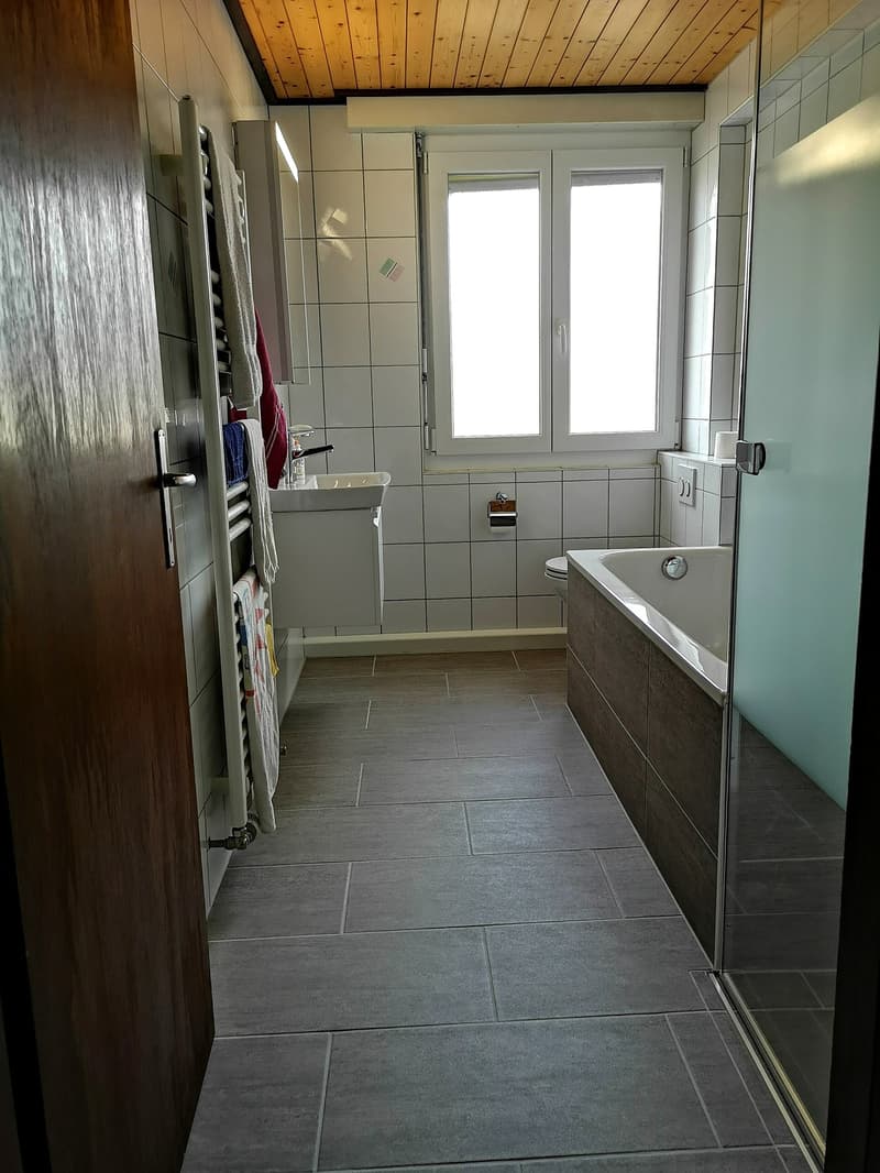 A vendre immeuble avec grande surface polyvalente, 3 places de parc, 2 appartements (20)
