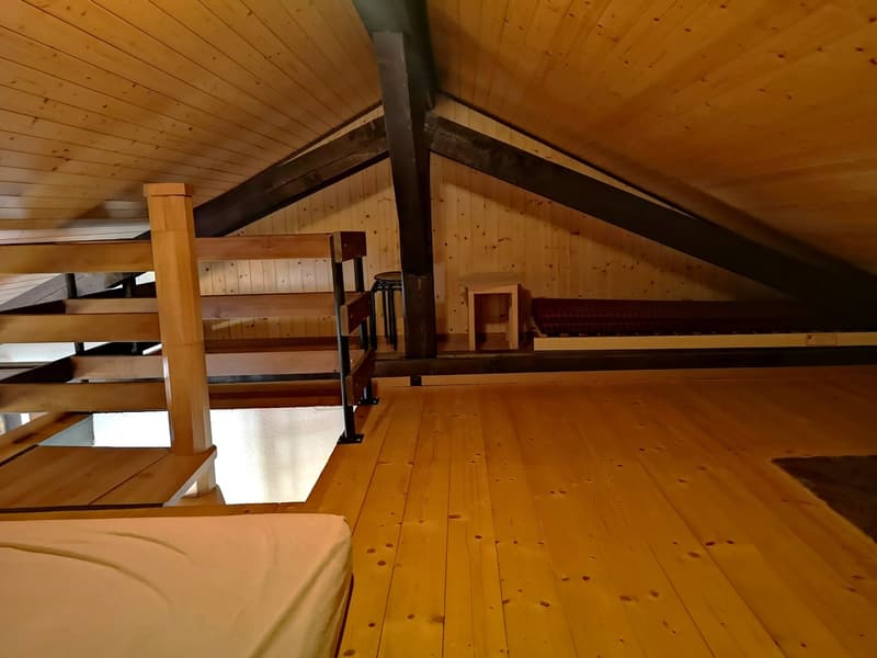 A vendre immeuble avec grande surface polyvalente, 3 places de parc, 2 appartements (24)