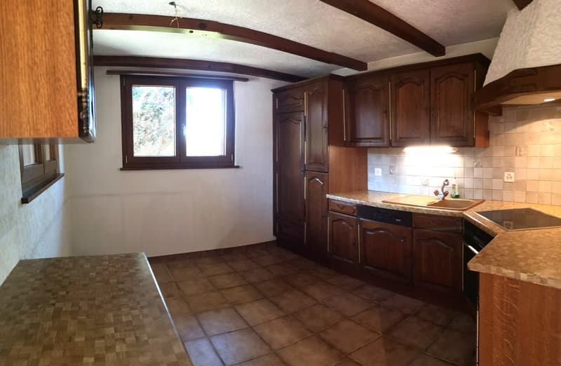 Grande maison 5.5pces, env. 120m2, terrain 802m2, avec garage, places de parc, terrasse, bûcher (25)
