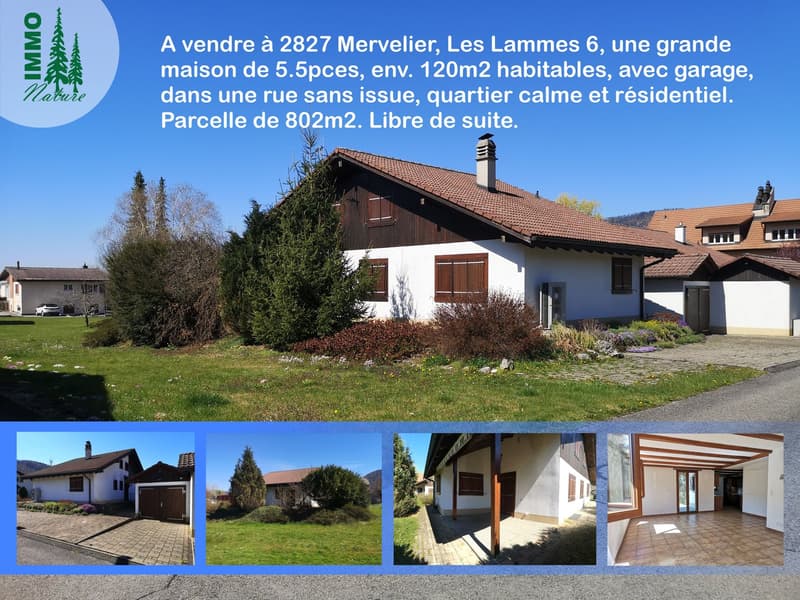 Grande maison 5.5pces, env. 120m2, terrain 802m2, avec garage, places de parc, terrasse, bûcher (1)